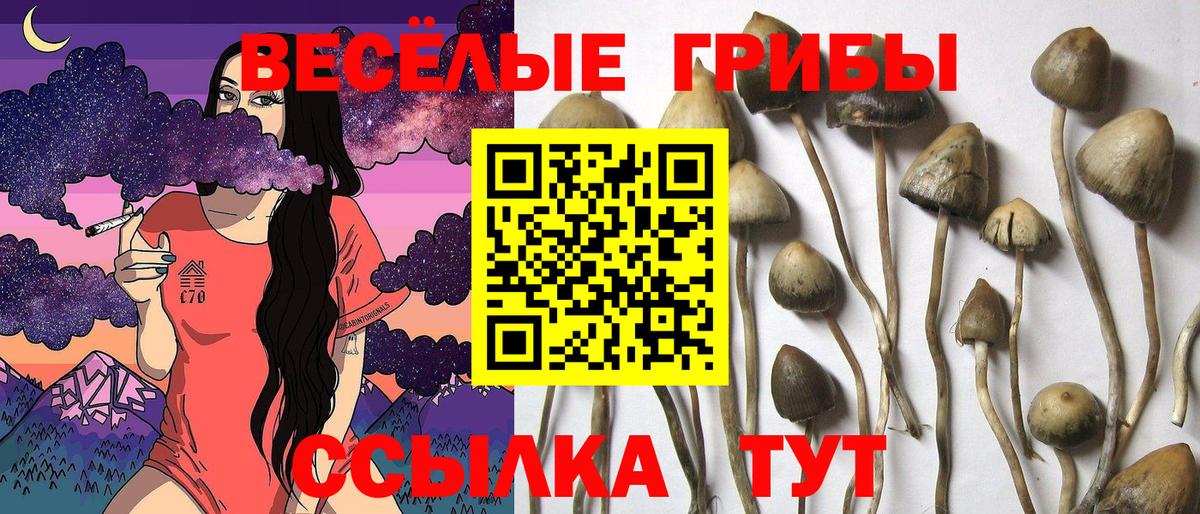 Михайловск  Псилоцибиновые грибы Magic Shrooms  Вход с VPN 
