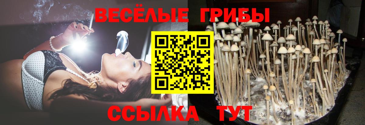 Галлюциногенные грибы мицелий Михайловск